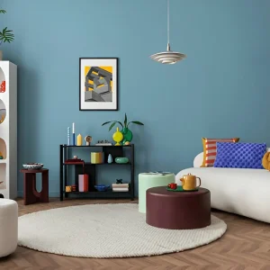 Home Decor & Appliances